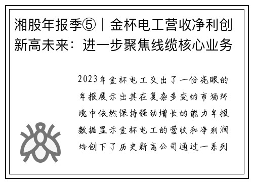 湘股年报季⑤｜金杯电工营收净利创新高未来：进一步聚焦线缆核心业务